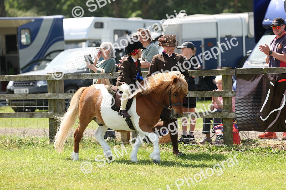 SBM_05301 - Class 24-25 - Mountain & Moorland In Hand Lead Rein and First Ridden