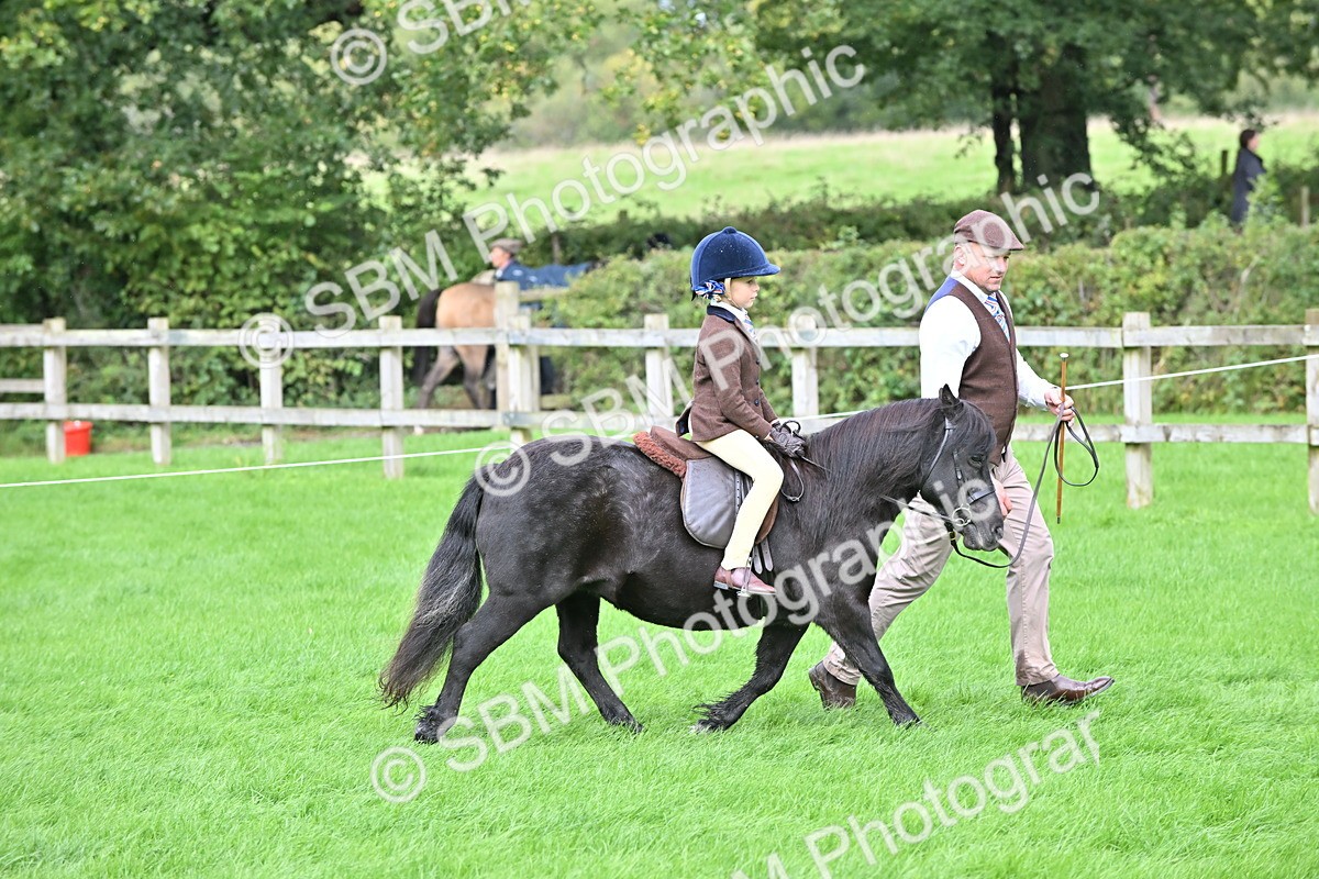 SBM_40143 - S20 - Lead Rein Mountain & Moorland Pony