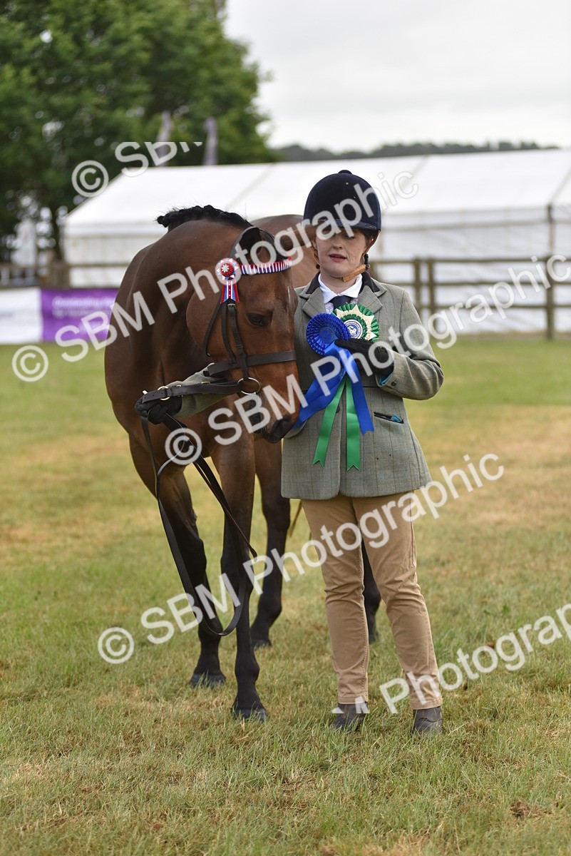 SBM_10674 - Class 109 - Retraining of Racehorses in Hand