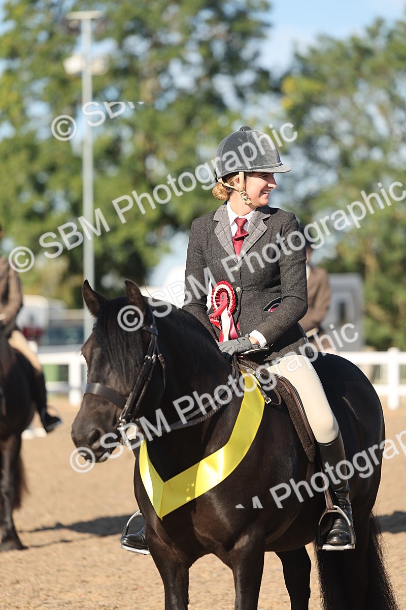 SBM_11112 - Class 302 - Ridden M&M Large Breeds