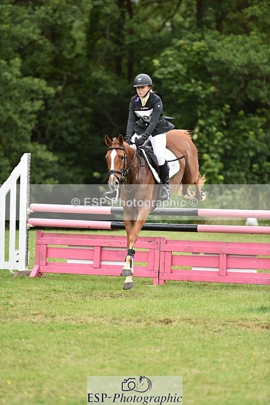 140103-023014-07355 - BE Novice SJ