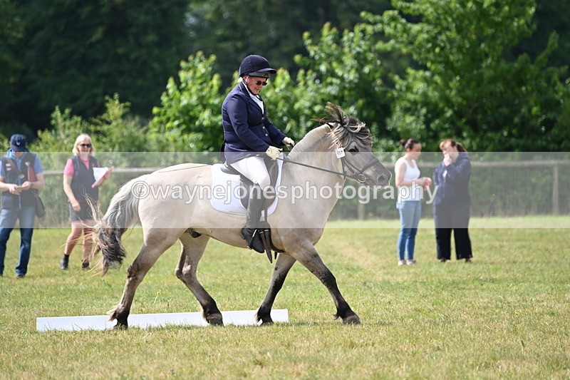 WJ6_6105 - Time 09:46 to 10:26