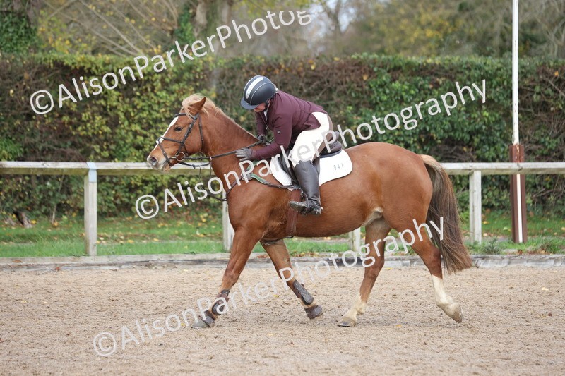 20251116-0599 - Class 3 - 80cm