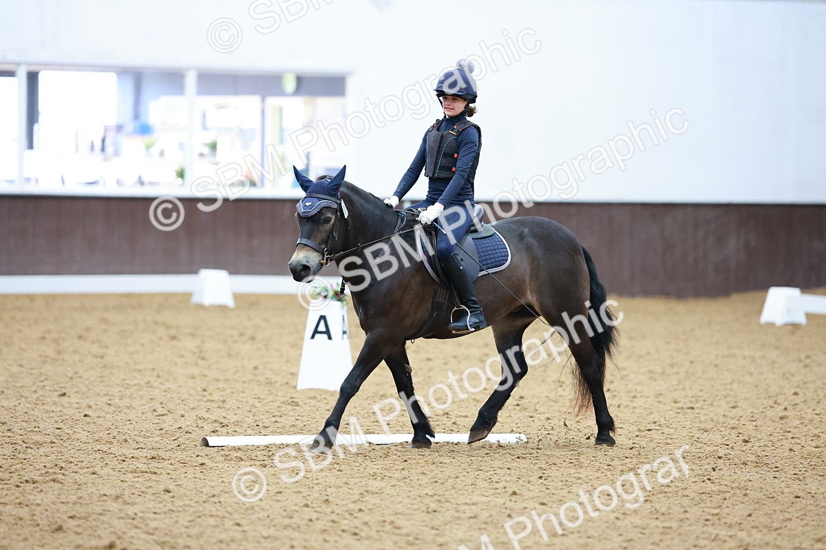 1I0A0704 - Class 3-6 - Prelim 1-Novice 2