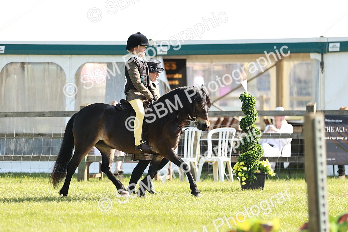 SBM_11358 - Class 106-107 - BSPS LIHS Working Sports Pony