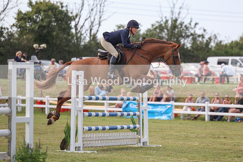 3E7A0870 - Class C: Showjumping Senior Foxhunter