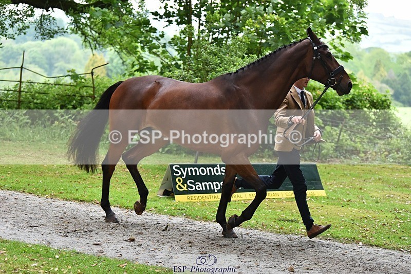 240522-165554-01260 - 262-MY_STAR_TURN-Tom_Jackson