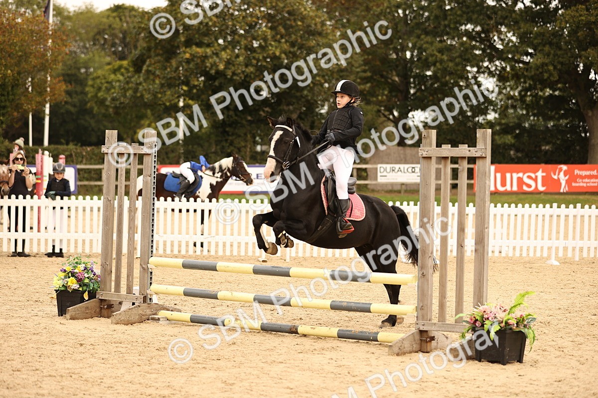 SBM_72501 - J14 - Junior Pony 65cm Championship