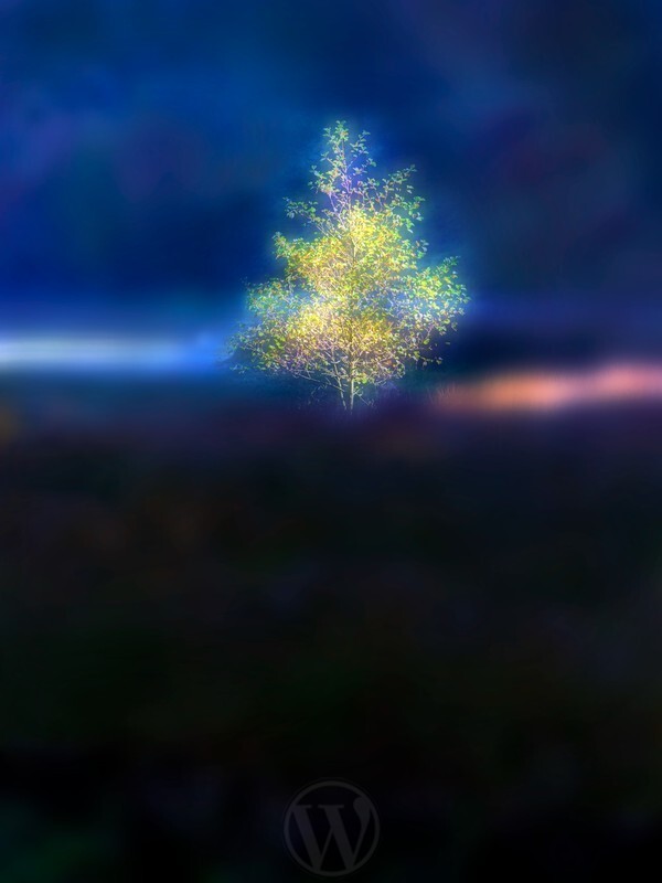 The Peak District England - Land