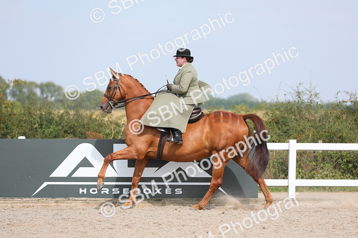 SBM_14562 - Class 211 Best Side Saddle Horse/Pony