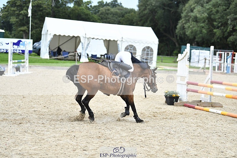 230820-133018-00977 - 80cm - Round 2