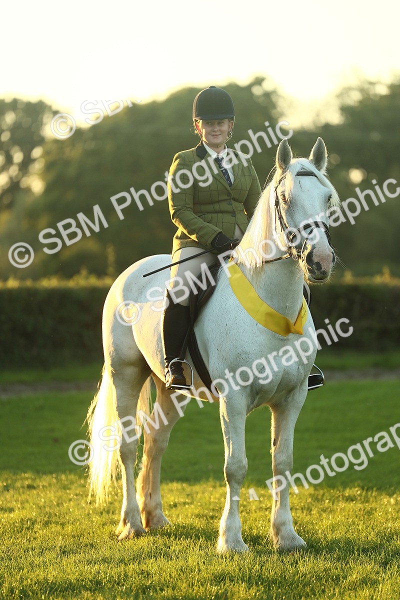 SBM_56632 - Fun & Versatile Supreme Championship
