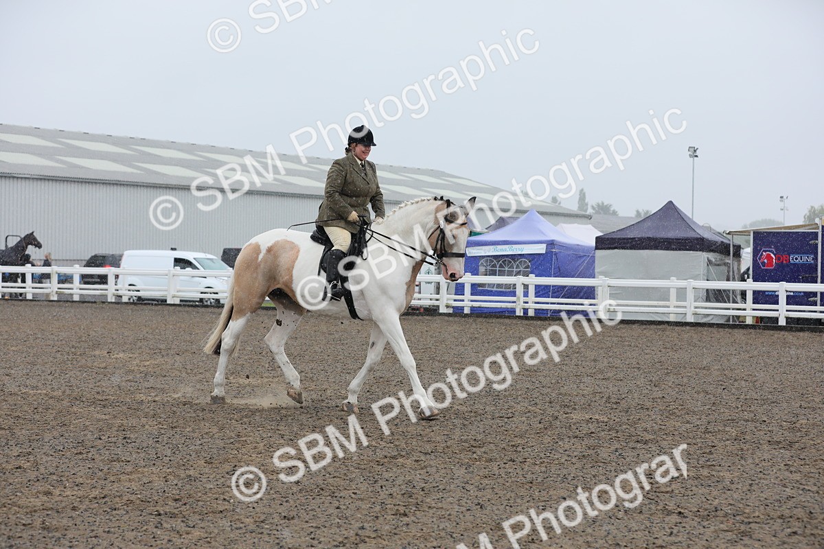 SBM_20348 - Class 803 - Ridden Combination 65+