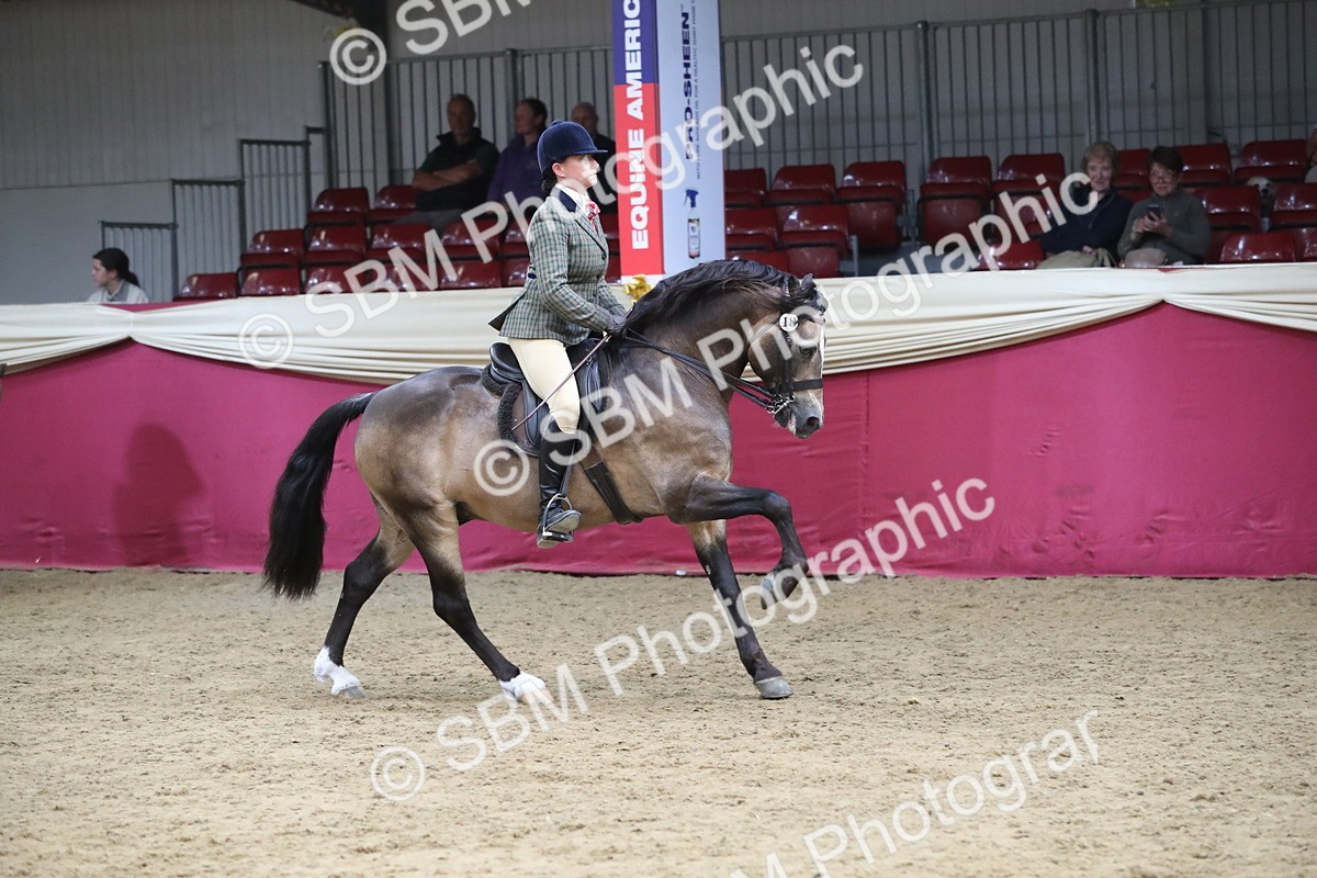 SBM_16346 - Class 502 M&M Ridden Supreme Final