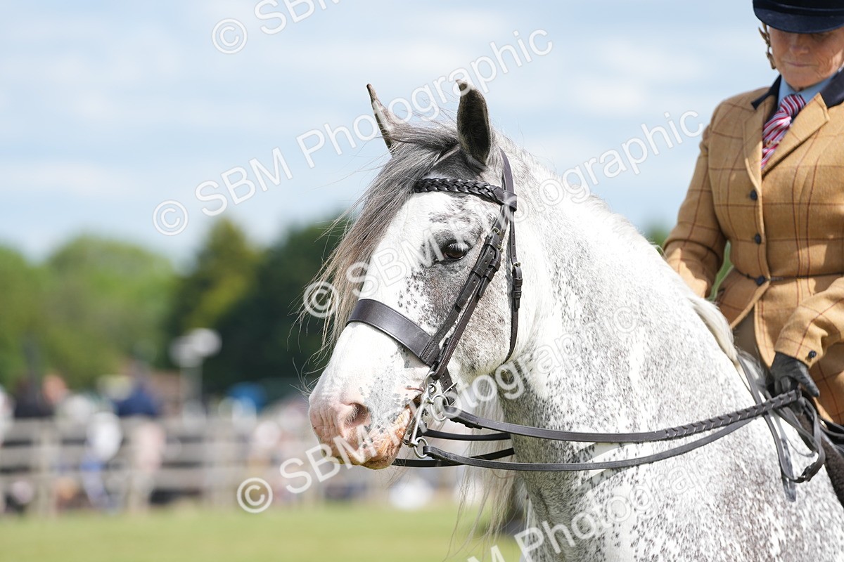 SBM_17250 - Class 107-108 - LIHS BSPS Performance Coloured Horse Pony