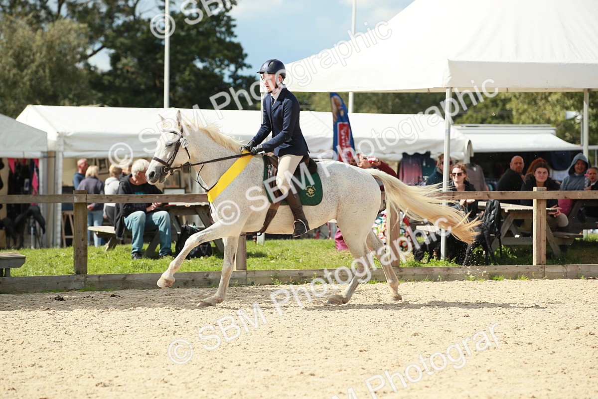 SBM_06331 - J29 Senior 65cm Championship