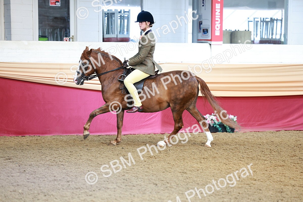 SBM_11908 - Class 102 - Equitation (Best Rider) Adult