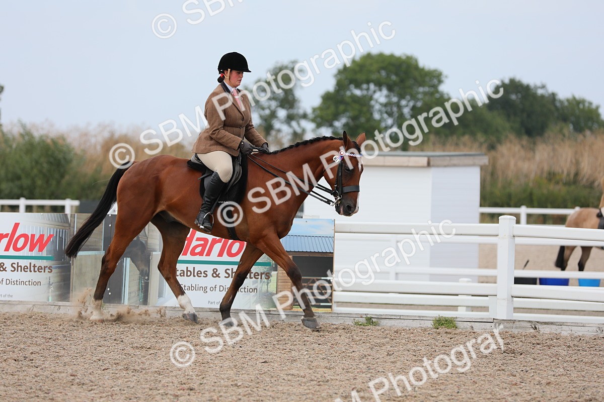 SBM_16853 - Class 314 Family Horse/Pony