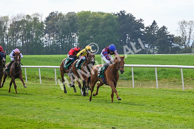 020526-Race 7-Rising Force-0243 - Race 7 5.00pm Sky Bet Irish Day Saturday 16th May Book Now Handicap