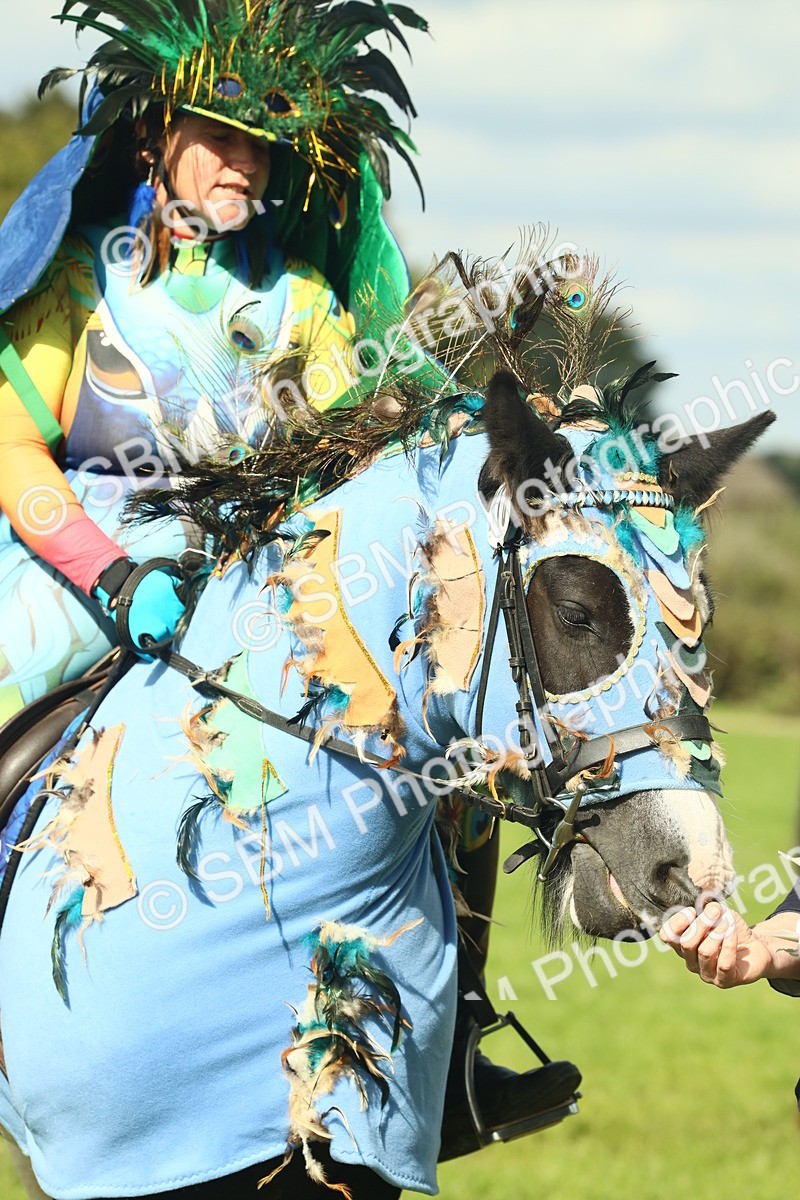 SBM_63519 - S35 - Fancy Dress Showing