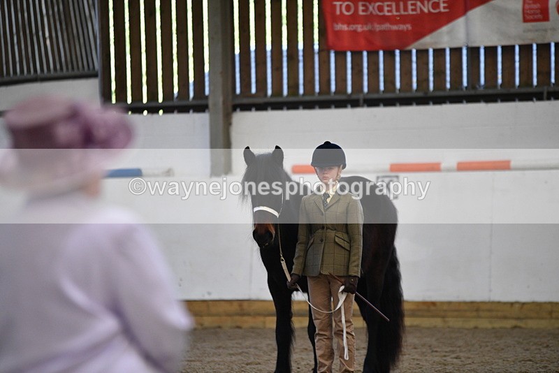 WJ5_4463 - Class 6 In hand M&M - Large Breeds