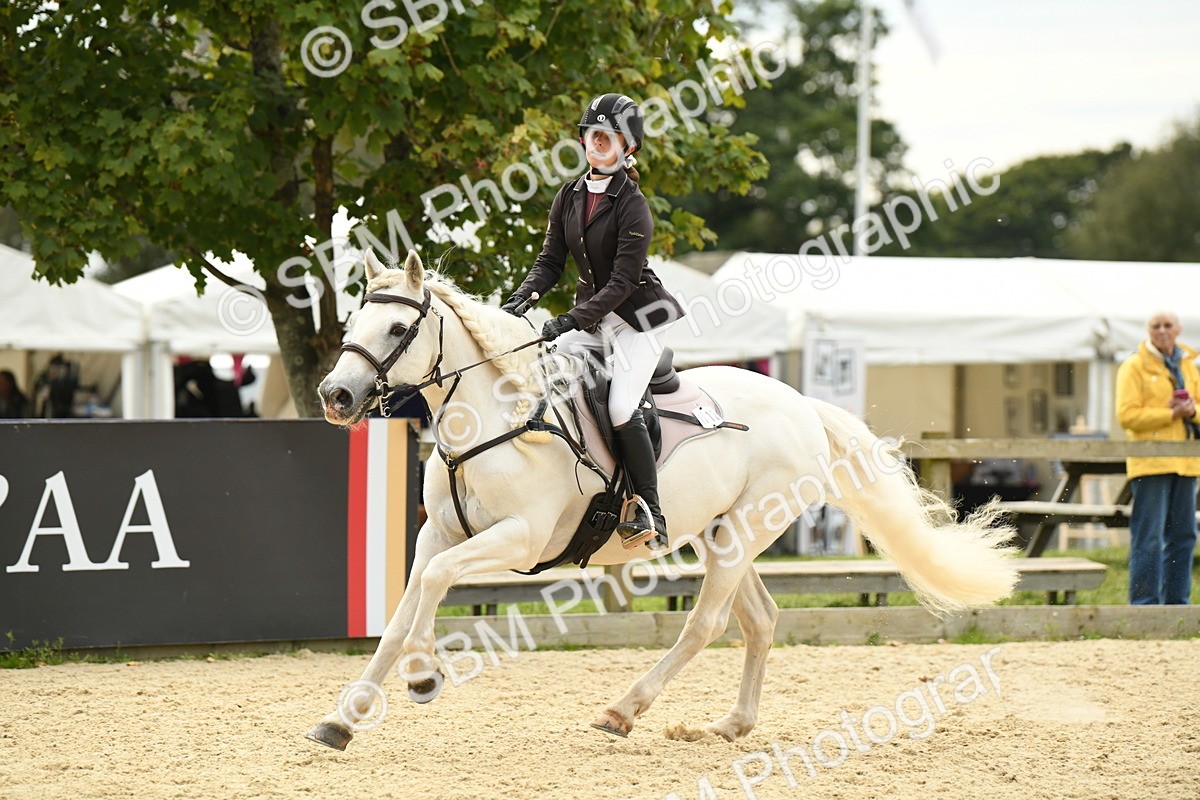 SBM_75645 - Supreme Championship