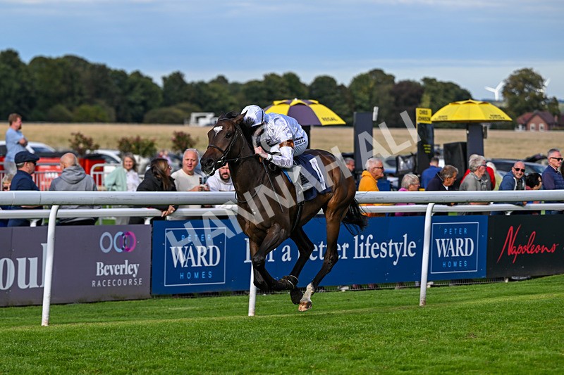 160926-Race 6-Roku Nana-1373 - Race 6 4.50pm EBF Fillies' Restricted Novice Stakes