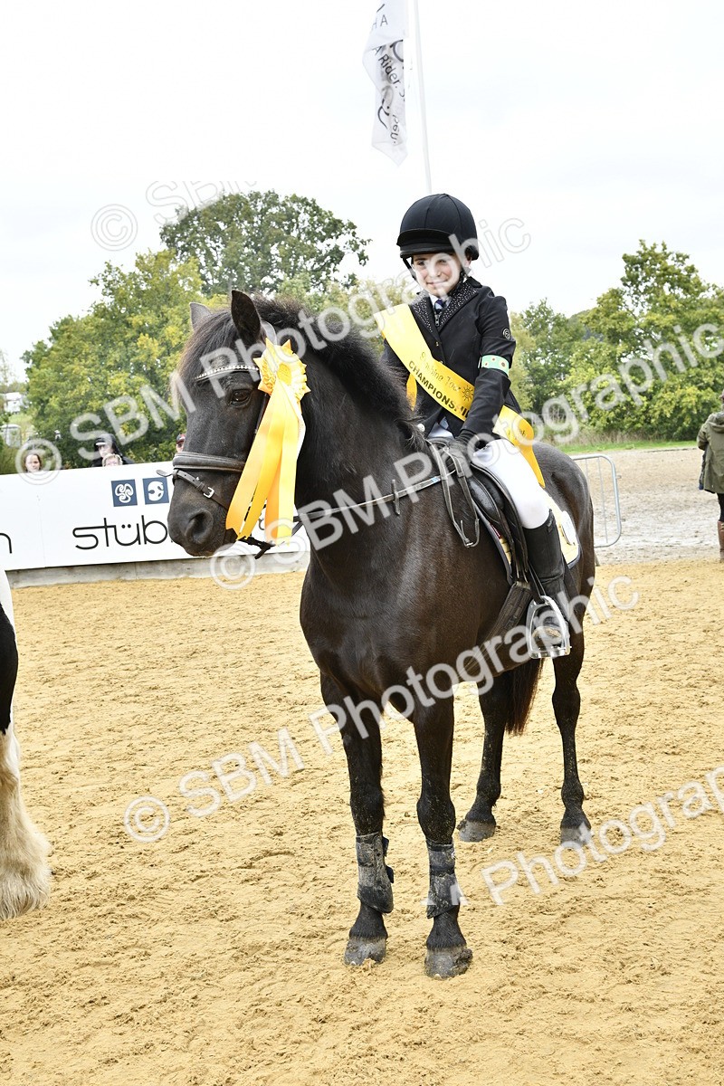 SBM_68490 - J2b - Mini Tour Junior Pony 30cm championship