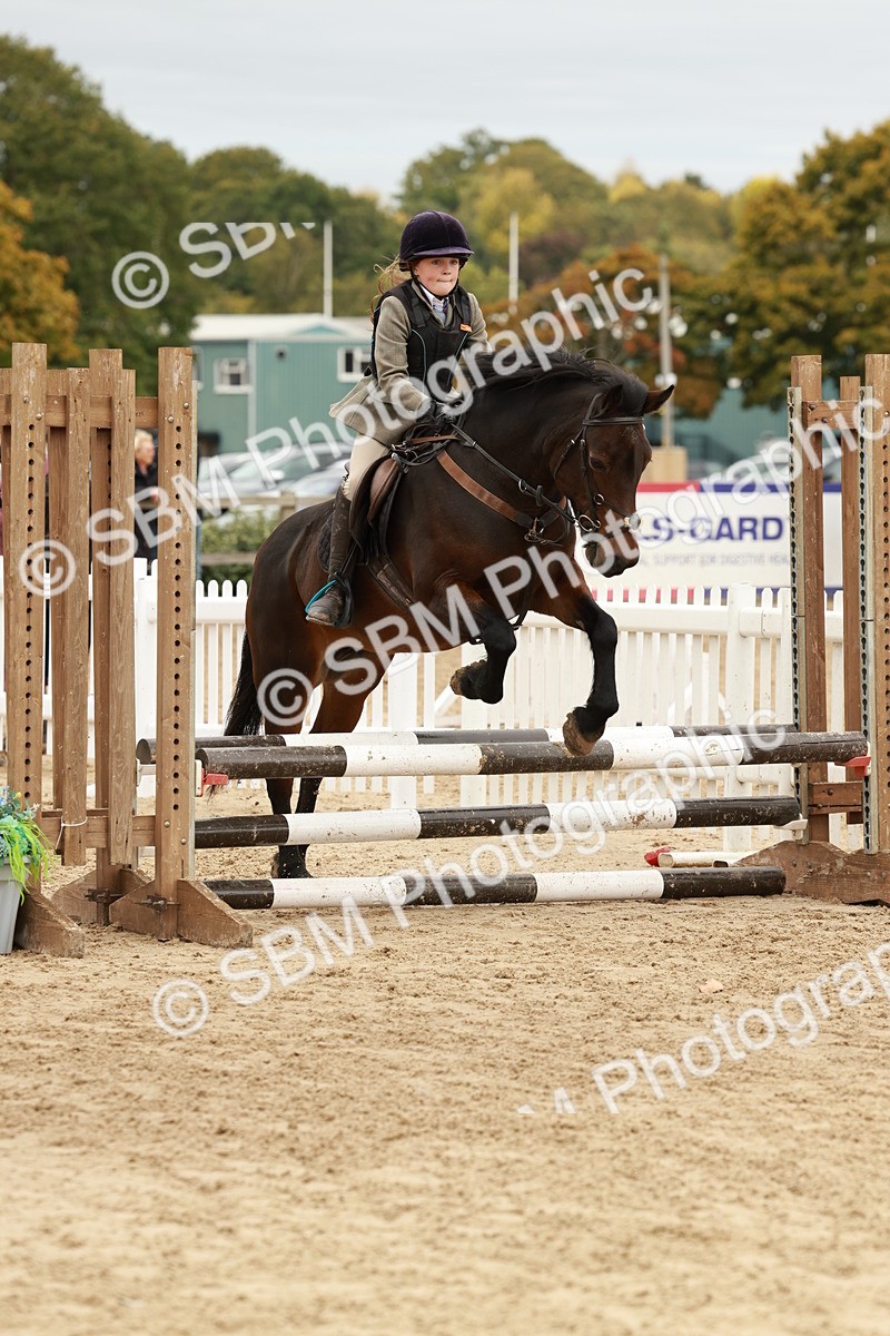 SBM_66885 - J13 - Junior Pony 60cm Championship