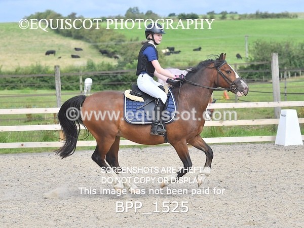 BPP_1525 - DERBY CLASS 3 - 40CM