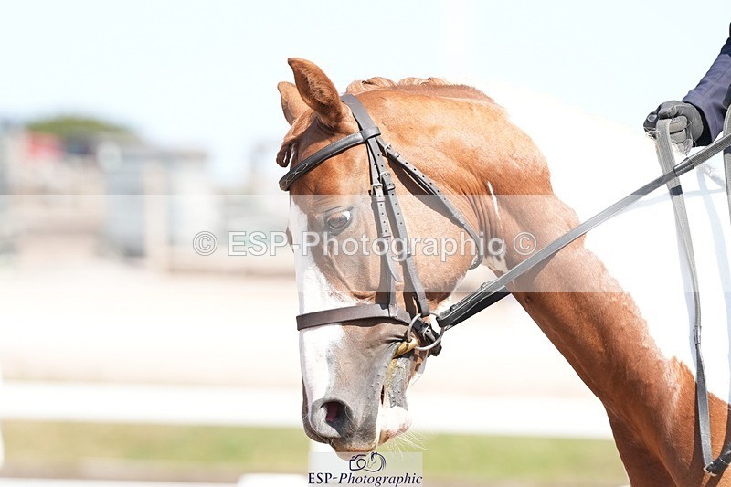 250817-143933-11021 - 199-Emily.BryerHarroway.Faerie.Dust