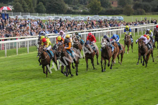 230923-Race 4-Aphelios-5313 - Race 4 3.45pm Jigsaw Sports Branding Handicap