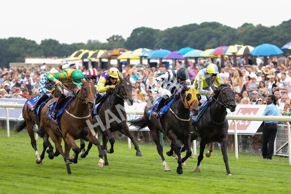 yr23072022r1-49 - Race 1 2.05pm Sky Bet Jump Jockeys Nunthorpe