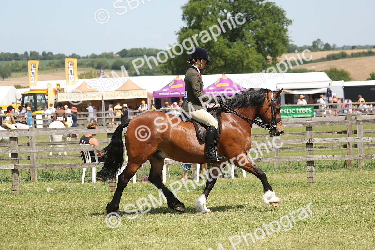 SBM_06901 - Class 26-30 - Mountain and Moorland Ridden