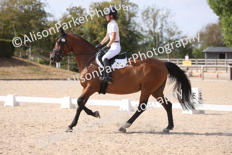 20260815-1089 - Class 6 - Novice 2