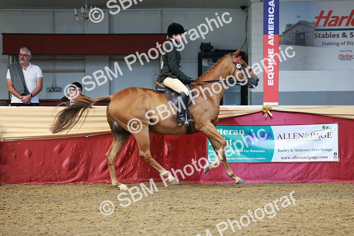 SBM_14940 - Class 108 - Ridden Retired Racehorse