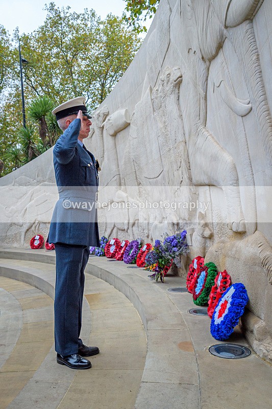 NGP_8245 - 2024 Animals in War Remembrance Gathering