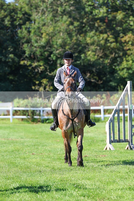 3E7A7807 - Class 2: Open Working Hunter pony