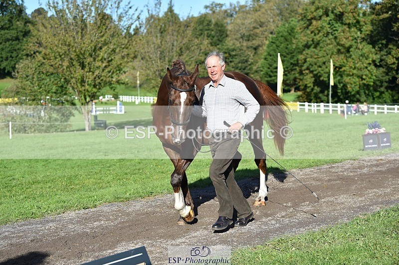 231022-104958-23527 - 447-STALLONE-Andrew.Winterton-TrotUp+SJ