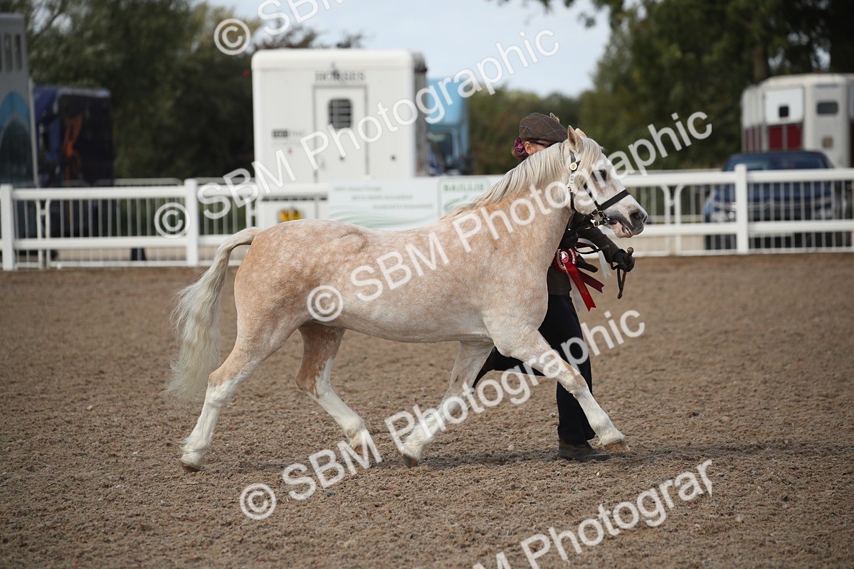 SBM_23493 - Class 604 - 2026 - Area IH Diamond