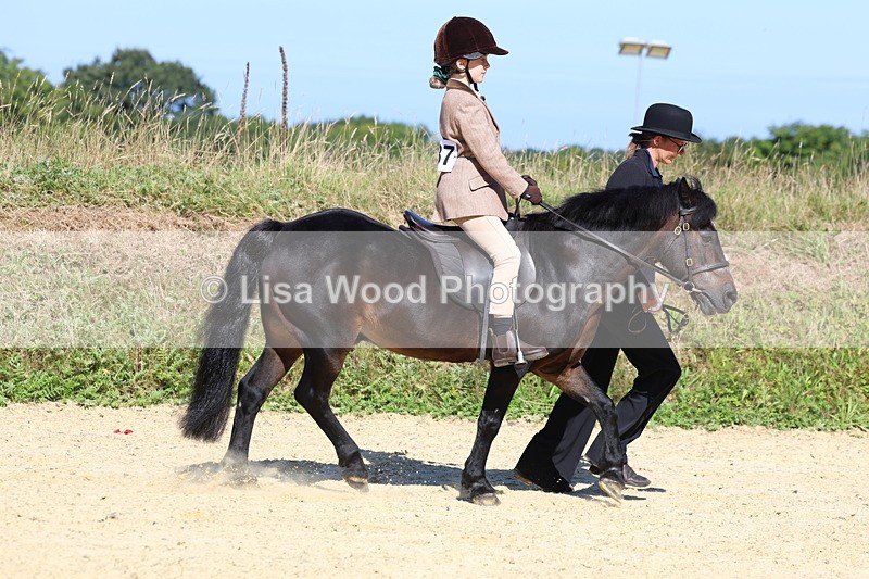 3E7A8042 - Class 15: Lead Rein