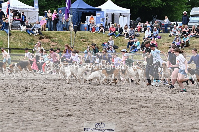 250524A-152733-12746 - East Devon Hounds