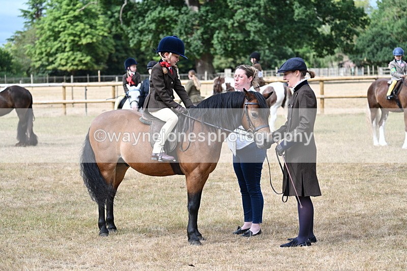 WJ7_6498 - Class 1 Lead Rein Pony