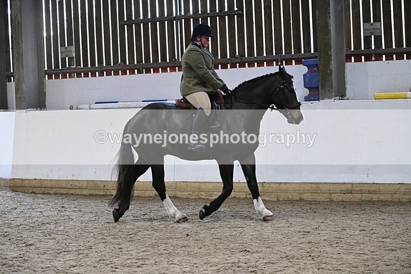 WJ7_3907 - Class 17 Ridden Cob