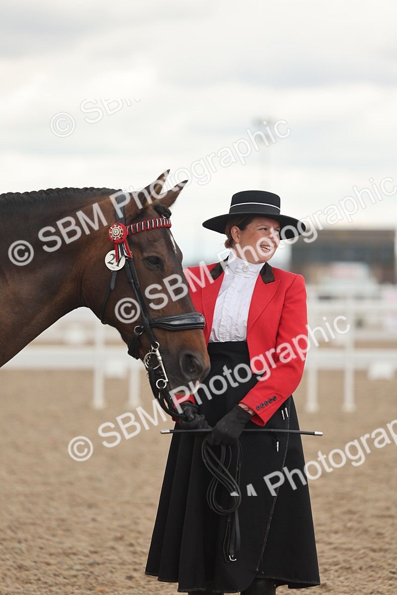 SBM_07649 - Class 26 - IH Foreign Breeds - Part Bred