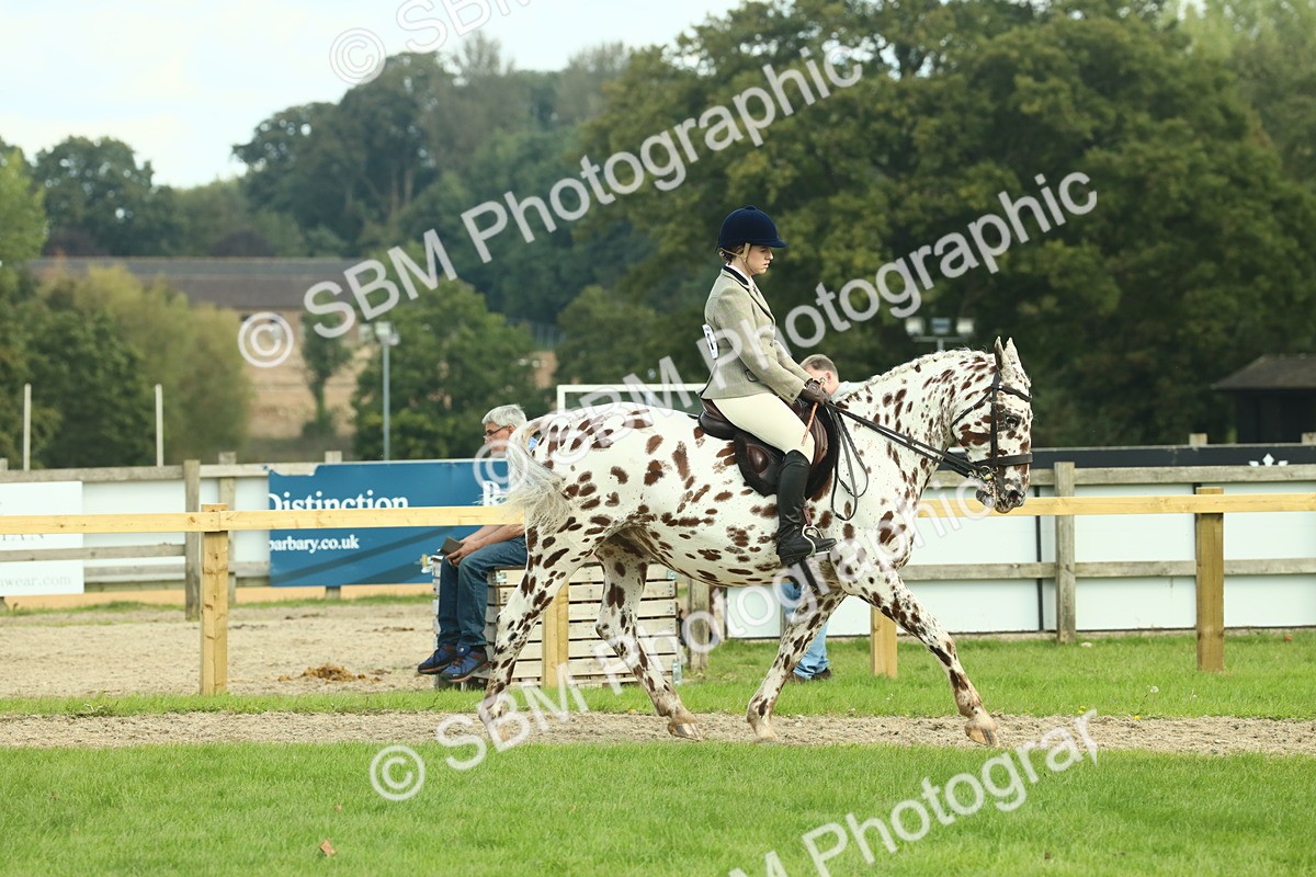 SBM_62459 - S62 - Foreign Breeds Ridden