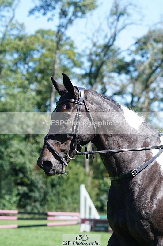 240811A-112506-01952 - 066-