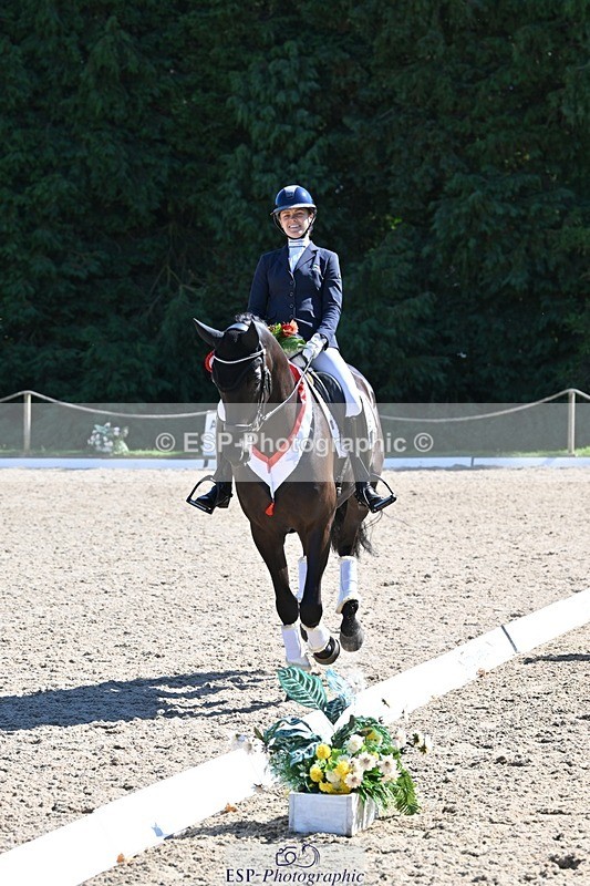 240811-153522-06685 - Adv Medium Gold