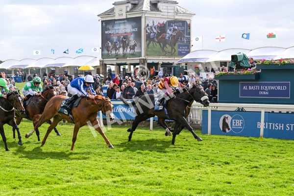150525-Tropical Storm-4894 - Race 5 4.18pm British Stallion Studs EBF Westow Stakes
