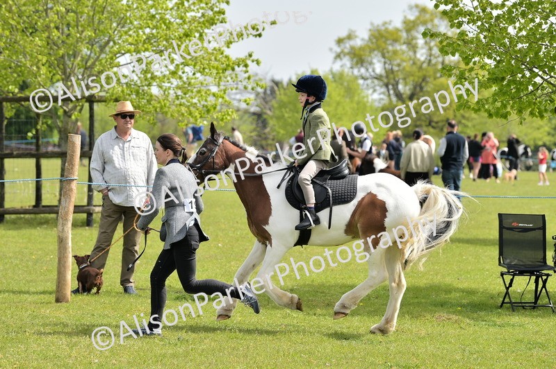 20260426-2338 - Class 20 - Beginner Working Hunter